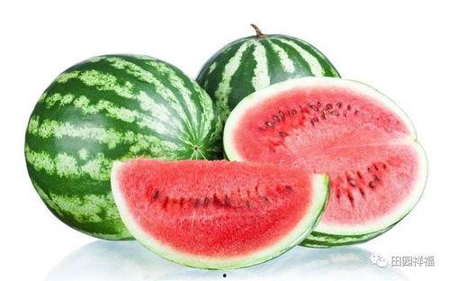 小吊瓜西瓜今日价,小吊瓜西瓜，新鲜上市，价格实惠