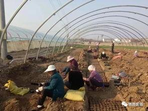 界首吃瓜热门事件最新情况,最新进展揭秘，真相逐渐浮出水面