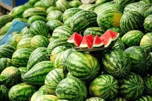 今日吃瓜网官网,揭秘娱乐圈最新热点，带你畅游八卦海洋