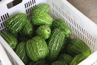 国产黑料tz吃瓜地址,tz吃瓜事件背后的真相与争议