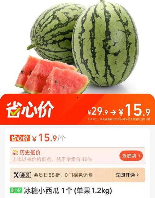 美都麒麟瓜今日行情,价格波动与市场动态一览