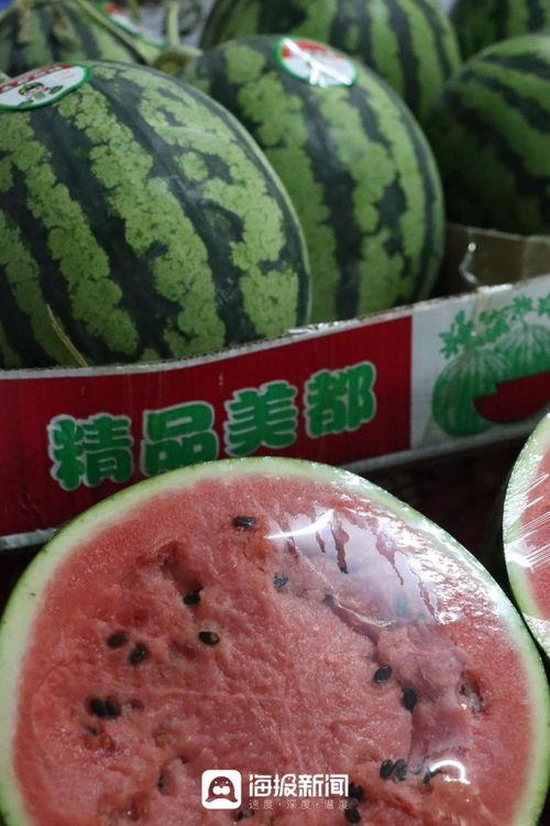 美都麒麟瓜今日行情,价格波动与市场动态一览