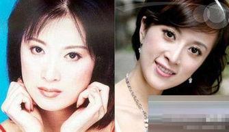 明星网红瓜子图片大全,明星同款，美味瞬间