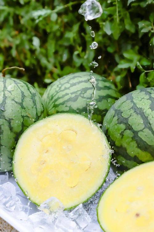 166su吃瓜黑料下载安装,揭秘热门下载平台的秘密