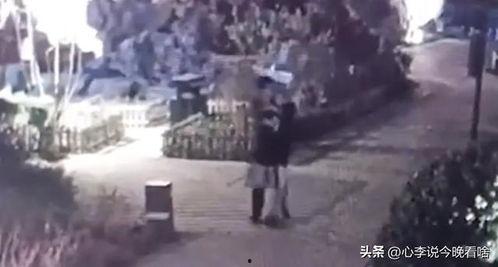 定州吃瓜爆料事件视频播放,视频播放背后的真相揭秘