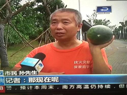 恐怖的热门吃瓜事件是什么,揭秘近期引发全民恐慌的恐怖事件