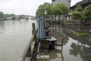 杭州河庄近期热门吃瓜事件,揭秘近期爆红网络事件背后的真相