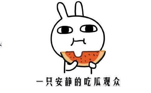 最新的吃瓜热门在线视频,全网热议！最新吃瓜视频揭秘惊人内幕