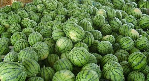 今日吃瓜扒一扒,吃瓜群众扒一扒娱乐圈最新八卦