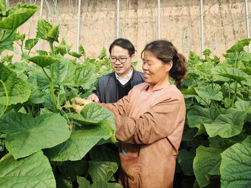 砀山最新吃瓜爆料事件新闻,神秘事件引发网友热议
