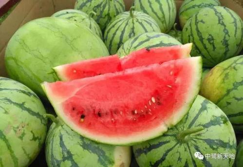 今日吃瓜最新更新,最新热点事件盘点