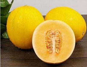 蜜瓜热门音乐有哪些歌,夏日旋律，心动瞬间