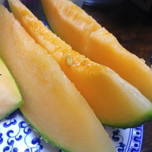 蜜瓜热门音乐有哪些歌,夏日旋律，心动瞬间