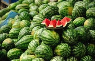 黑料社网红精品吃瓜,揭秘娱乐圈幕后真相