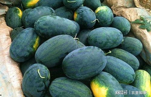 黑料社网红精品吃瓜,揭秘娱乐圈幕后真相