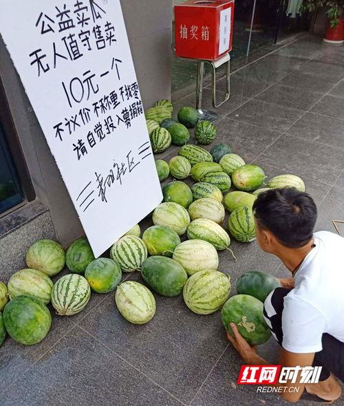 耒阳今日头条卖瓜,卖瓜奇遇记，瓜农的甜蜜烦恼