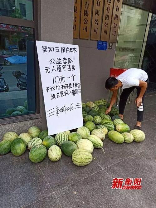 耒阳今日头条卖瓜,卖瓜奇遇记，瓜农的甜蜜烦恼