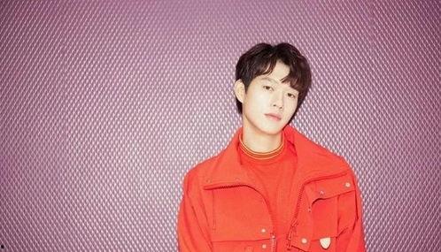 佤邦明星网红排名,明星网红实力对决，谁将问鼎巅峰？