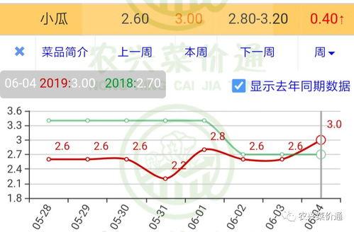 今日小瓜走势分析图,今日市场动态一览