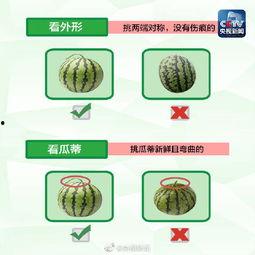 爆料吃瓜模板怎么写的啊,最新爆料，吃瓜群众纷纷围观！