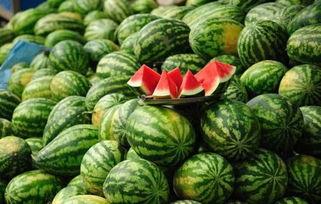 福建近期热门吃瓜事件真相,一场跨越季节的误会