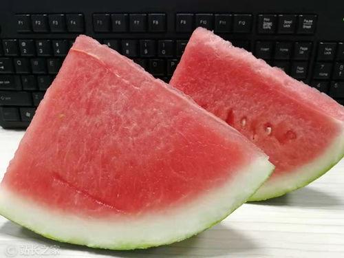 今日热榜在线吃瓜,今日在线吃瓜大揭秘