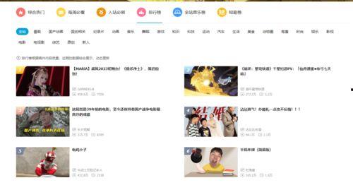 飞瓜查热门视频怎么看,揭秘热门内容生成秘诀