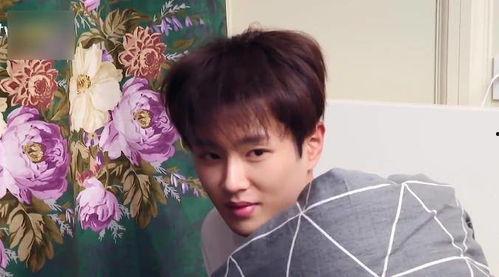 娱乐圈吃瓜范丞丞恋情,娱乐圈新恋情引发热议