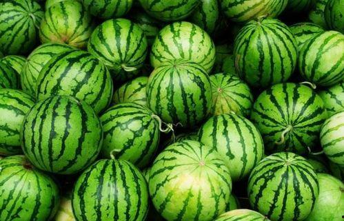 每日吃瓜今日必吃,揭秘娱乐圈最新热点事件