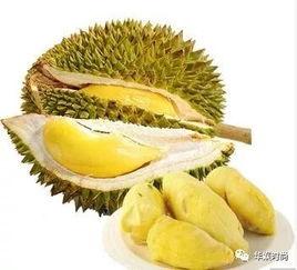 近期热门吃瓜10月12日,吃瓜群众热议的焦点事件大盘点