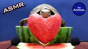 近期热门吃瓜10月12日,吃瓜群众热议的焦点事件大盘点