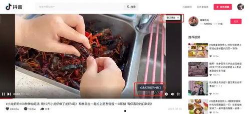 抖音热门大瓜黑料在线,真相与争议背后的网络风云