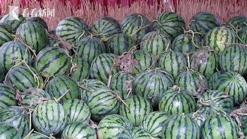 今日51cg7热门瓜料,今日热门瓜料大揭秘！