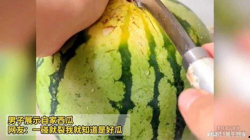 黑瓜乳腺癌可以吃吗好吗,适宜与否，营养专家解答