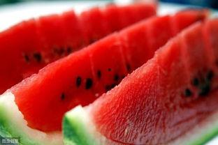 线瓜今日价格最新报价,线瓜今日价格行情一览”