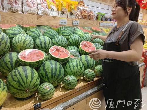 线瓜今日价格最新报价,线瓜今日价格行情一览”