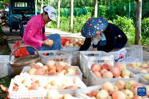 微山吃瓜最新事件爆料新闻,最新爆料揭露惊人内幕