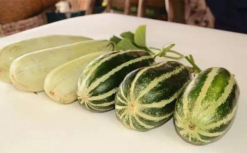 911爆料网红吃瓜在线入口,揭秘娱乐圈幕后真相