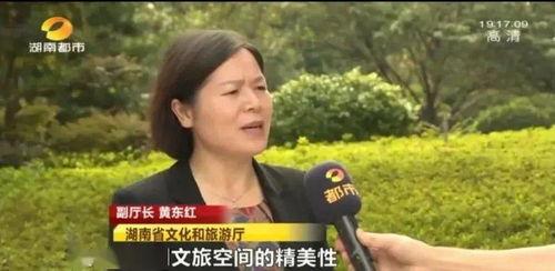 各省文旅明星网红,各省网红魅力大盘点