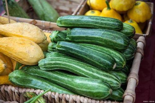 寿光今日菜价吊瓜价格,吊瓜价格走俏，市民争相购买”