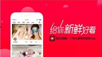 今日瓜州新闻直播视频,聚焦城市发展，展现民生变迁