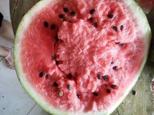 今日洋瓜价格最新行情,价格波动解析与市场趋势洞察