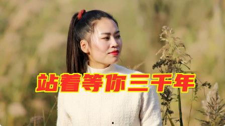 热门摘瓜音乐叫什么歌来着,探寻夏日旋律中的瓜趣时光