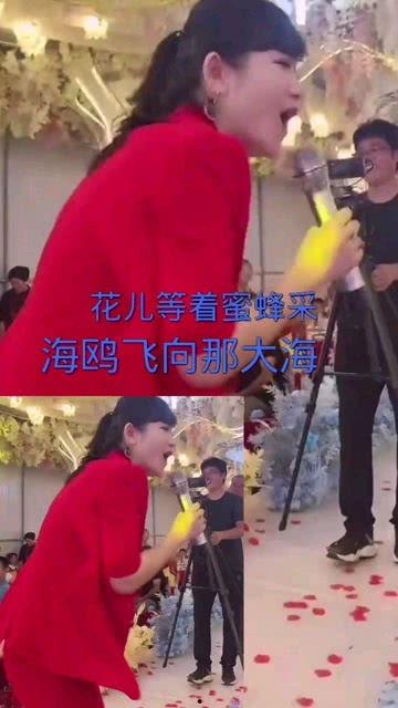 热门摘瓜音乐叫什么歌来着,探寻夏日旋律中的瓜趣时光