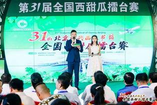 北京瓜王今日头条,瓜王今日头条揭晓，谁是果香四溢的佼佼者？