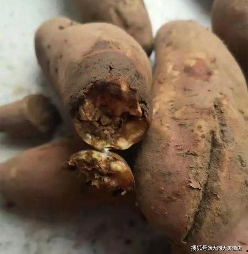 流产后吃黑瓜好吗有影响吗,流产后食用黑瓜的影响与注意事项