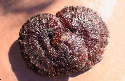 流产后吃黑瓜好吗有影响吗,流产后食用黑瓜的影响与注意事项