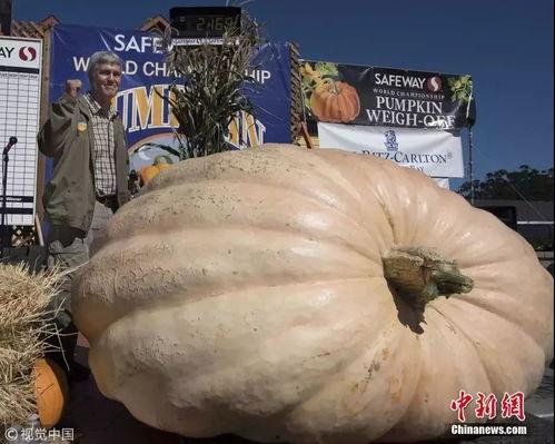 近几年的热门大瓜有哪些,揭秘明星幕后故事