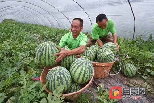 近几年的热门大瓜有哪些,揭秘明星幕后故事