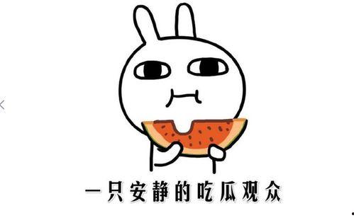 最新的吃瓜热门在线播放,揭秘娱乐圈幕后真相